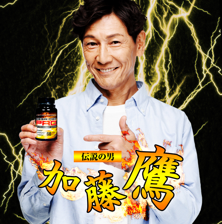 加藤鷹