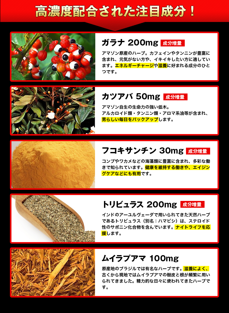 ペニスサイズで悩んでるなら今すぐやってみな!