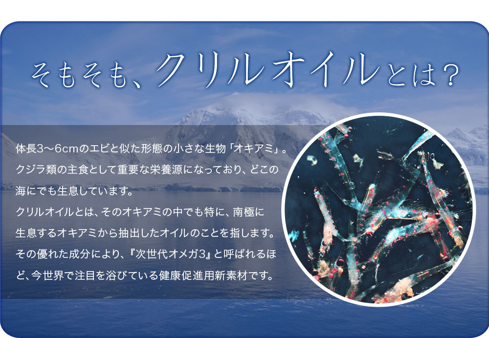 クリルオイル流(Krill Oil RYU)