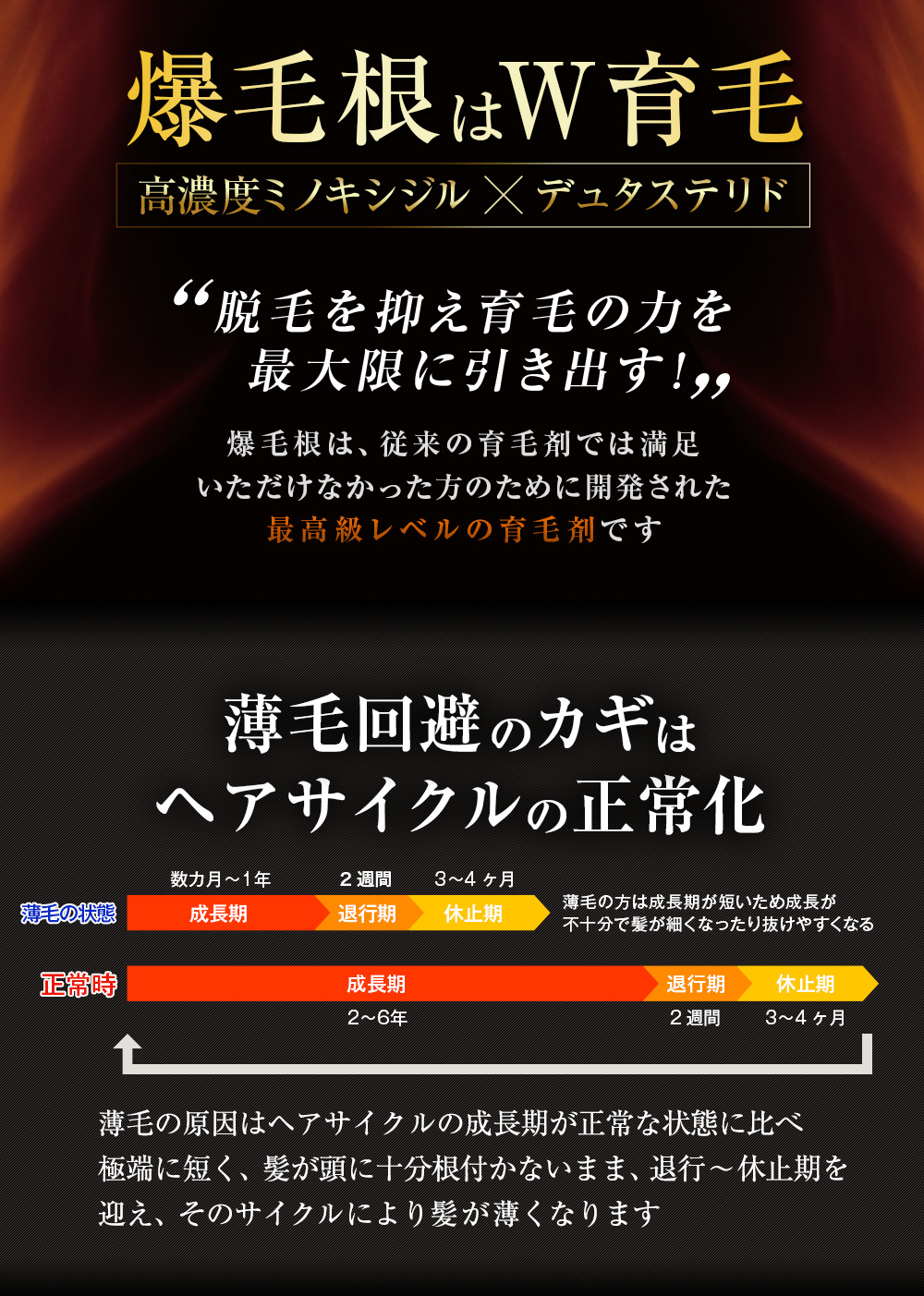 爆毛根ローション