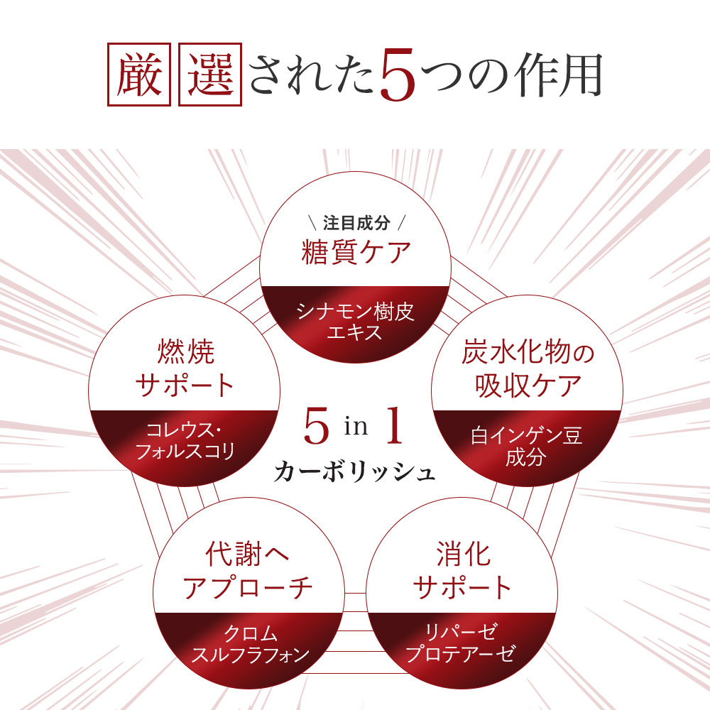 5つの作用:糖質ケア、炭水化物吸収ケア、燃焼サポート、代謝へアプローチ、消化サポート
