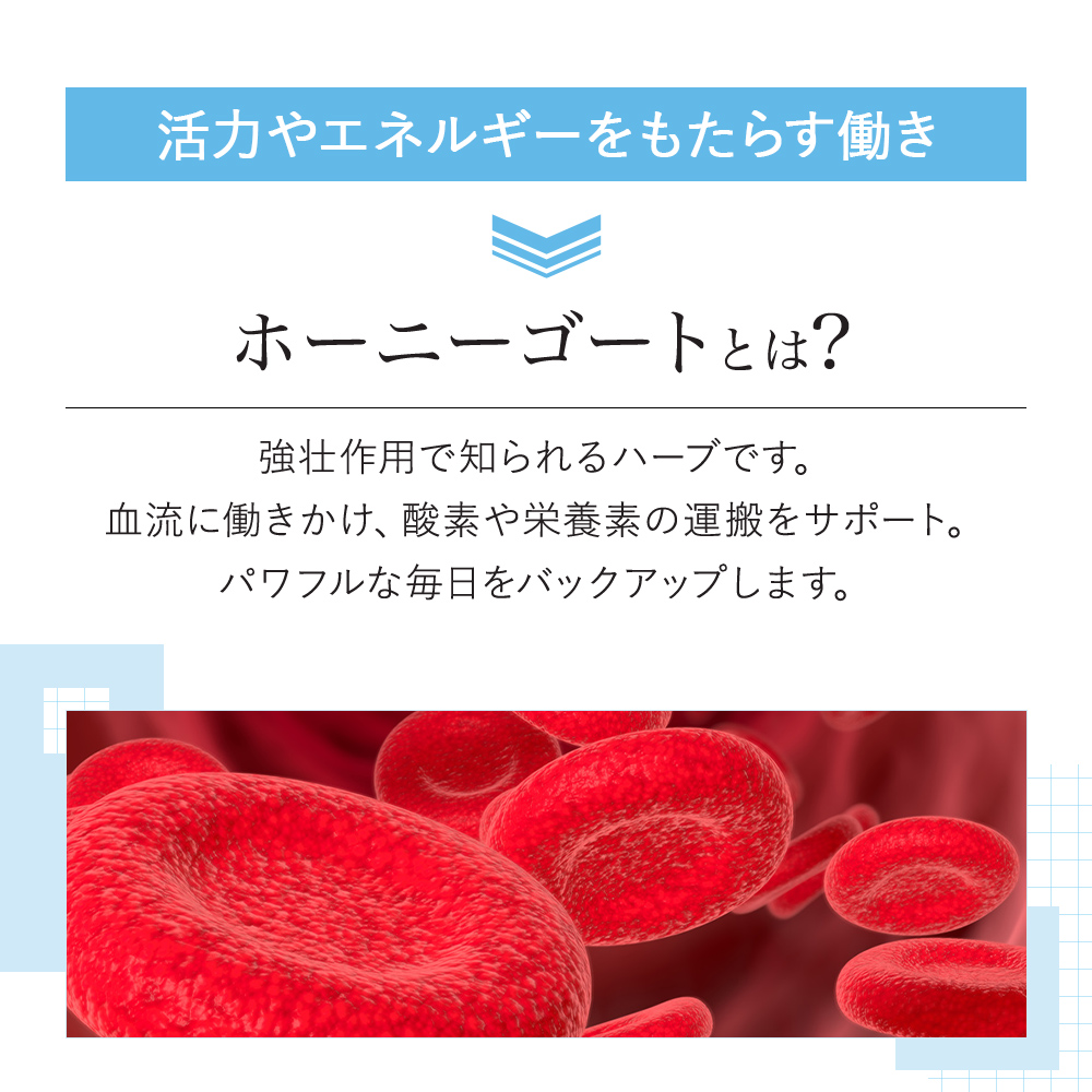 [VitalMe]バイタルミー ホーニーゴートマカ：2