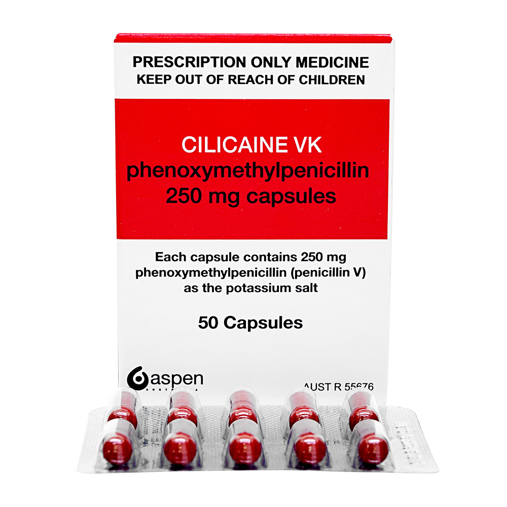 テウトフェノキシメチルペニシリンのリーフレット